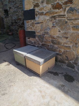 2 colmenas Langstroth