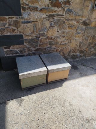 2 colmenas Langstroth