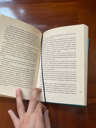 Libro juvenil: Ana y la Sibila