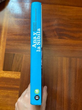 Libro juvenil: Ana y la Sibila