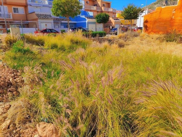 Desbroce y Limpieza de Solares 