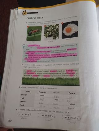 Libros Lengua Sexto de primaria