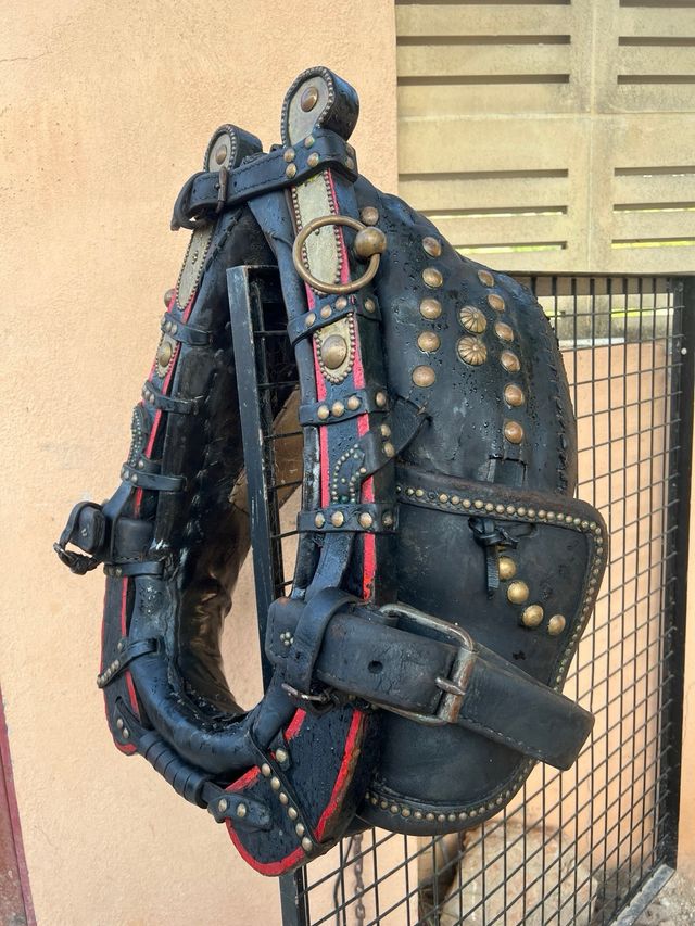 Collerón Valenciano 45cm