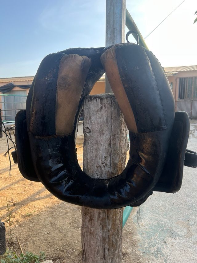 Collerón Valenciano 45cm