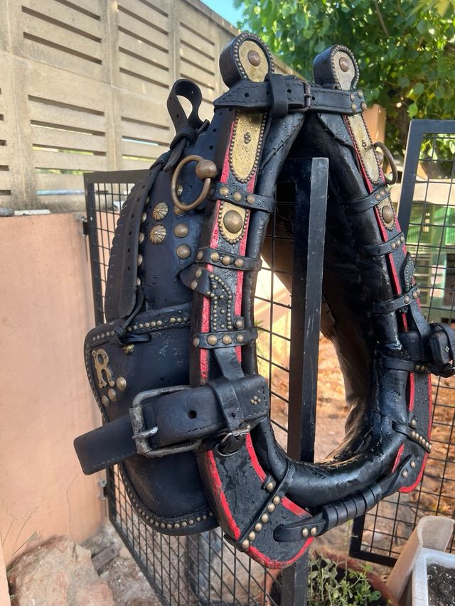 Collerón Valenciano 45cm