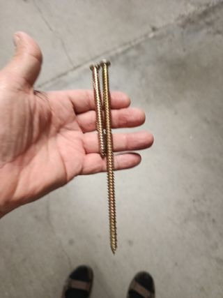 Un kilo de tifondos super largos. 18 ctms largo.