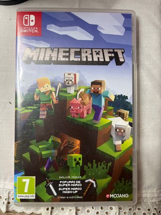 Minecraft Nintendo Switch