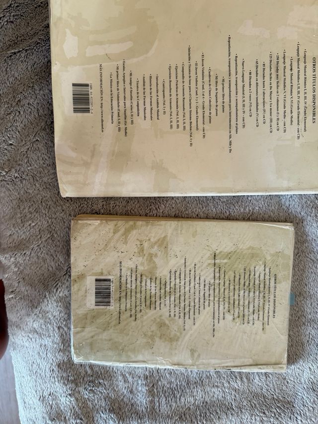 Lenguaje Musical: Ritmico y Melódico