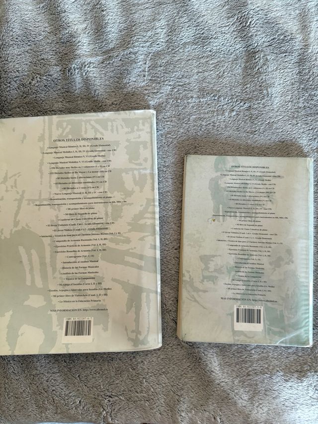 Lenguaje Musical: Ritmico y Melódico