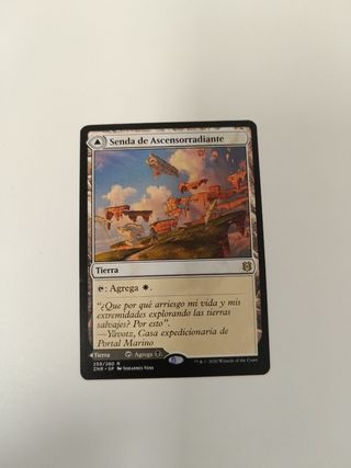 2x MTG Senda de Ascensosombrio
