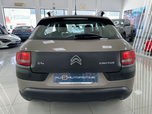 CITROEN C4 CACTUS 1.6 BLUEHDI 100CV BUSINESS