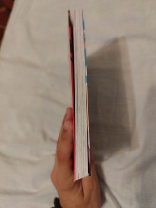 Miraculous. las aventuras de lady bug y cat noir..