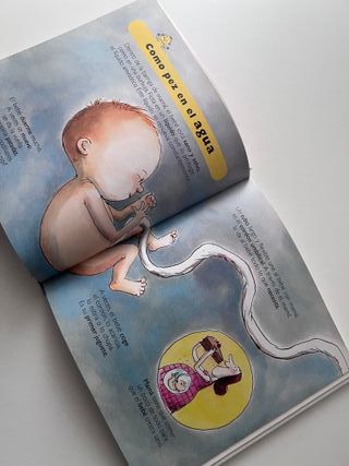 El bebé - Tu Pequeña Enciclopedia Vox