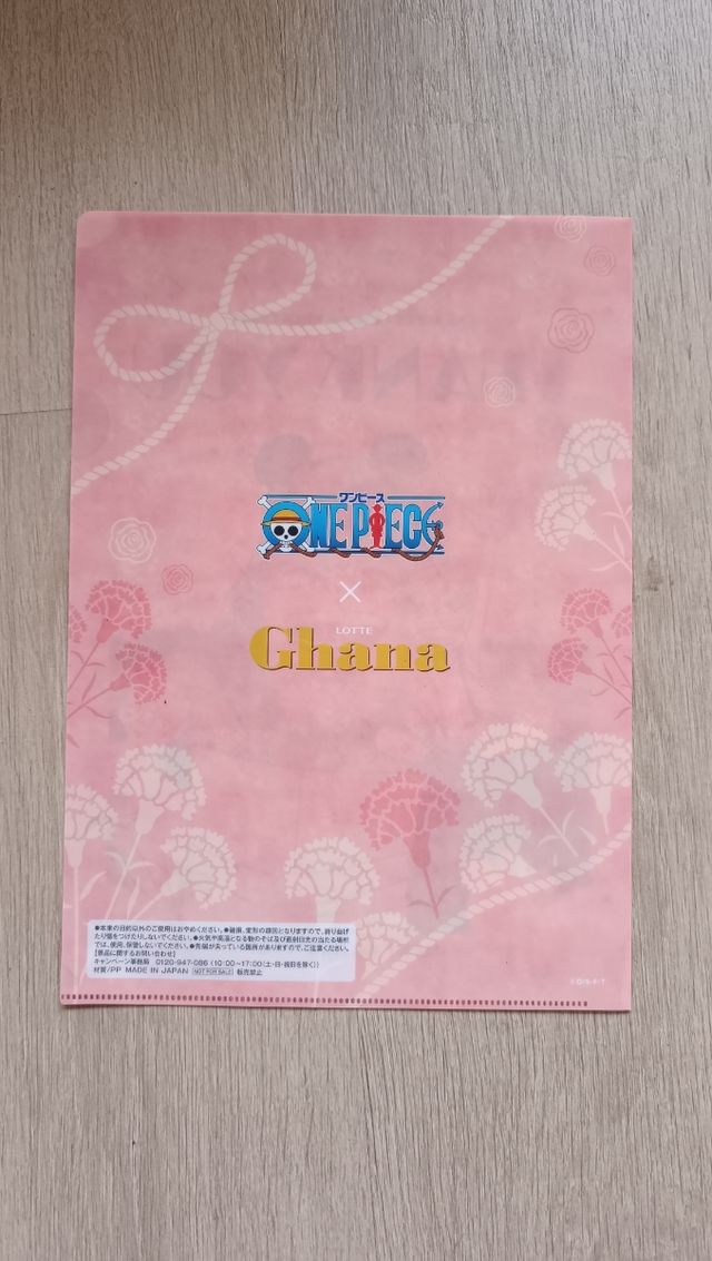 Carpeta One Piece x Ghana