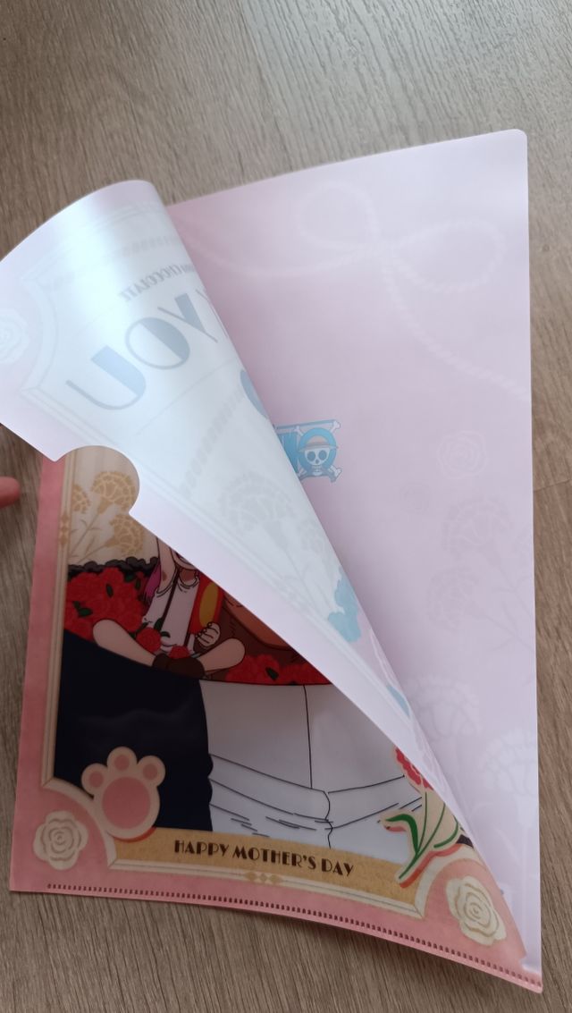 Carpeta One Piece x Ghana