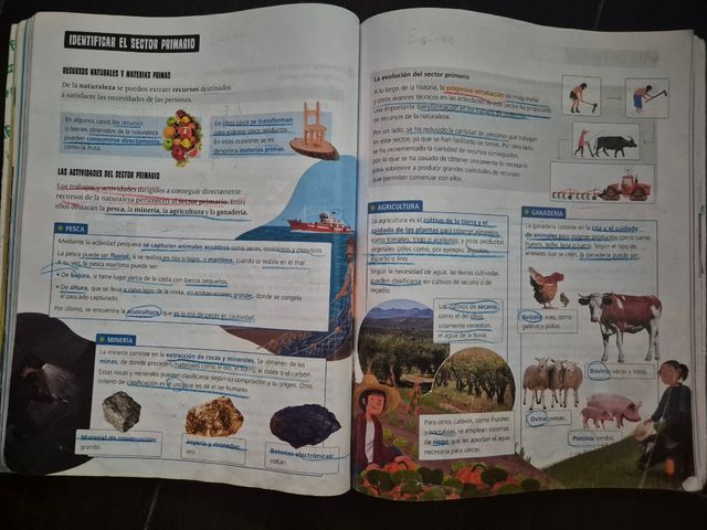 Proyecto: FanFest. Ciencias Sociales 4 [Castill...