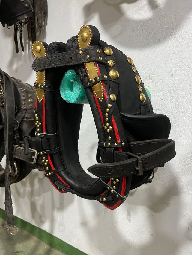 Collerón Valenciano Pony 40cm