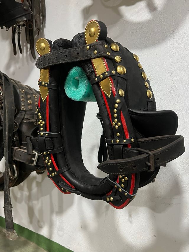 Collerón Valenciano Pony 40cm