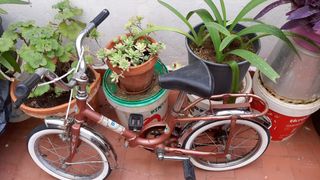 Bicicleta BH vintage