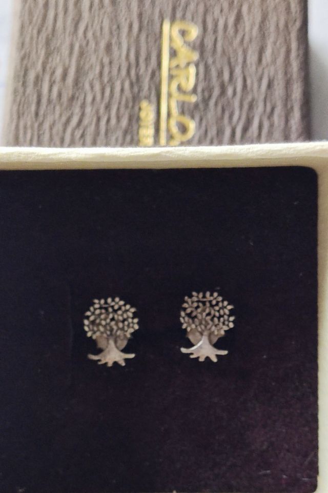 Pendientes plata~El árbol de la vida
