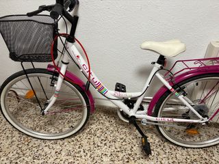 Bicicleta paseo