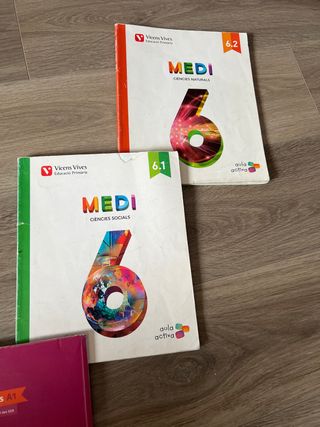 Medi 6 Social I Natural (aula Activa) Ambit