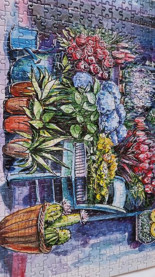 Puzzle 500 piezas de plantas