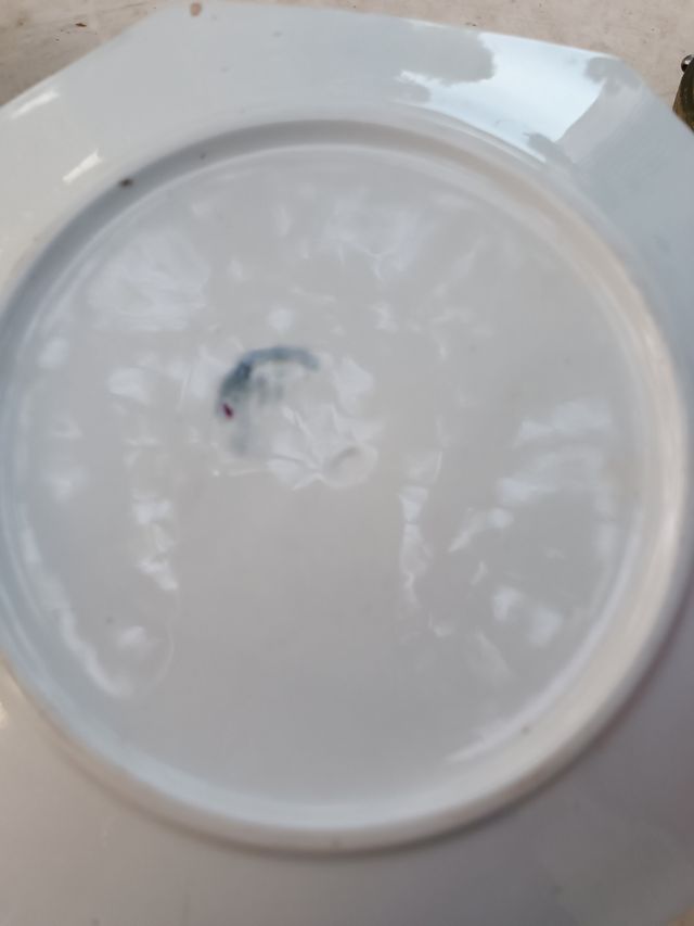 Taza y platillo antiguos La Cartuja