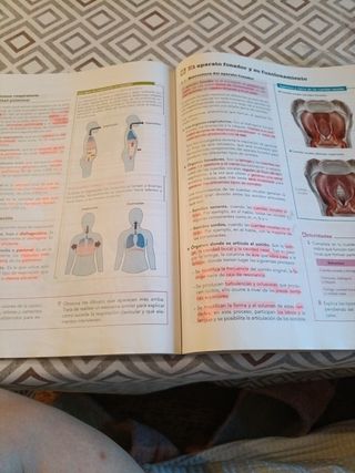 Anatomía Aplicada.