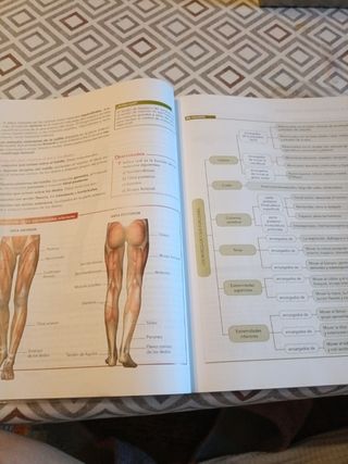 Anatomía Aplicada.