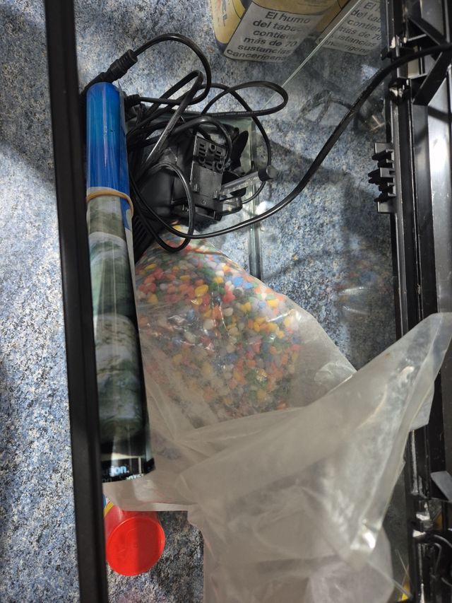 Pecera pequeña con accesorios