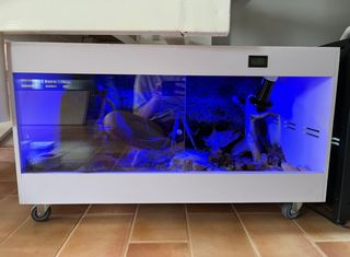 Terrario PVC Geckos Leopardo