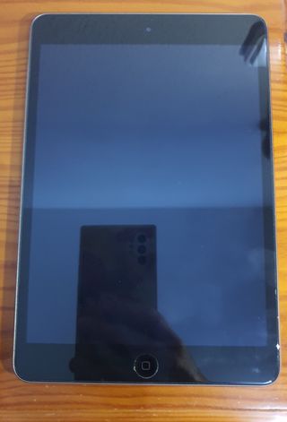 iPad mini 2 WiFi 32GB Gris