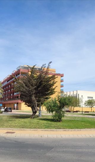 Alquiler apartamento Roquetas de Mar