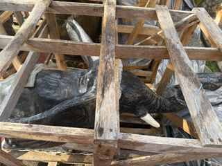 FONTANA DA GIARDINO ELEFANTE 80X120 CM