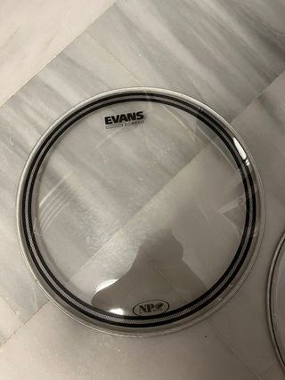 Parche Evans 15"
