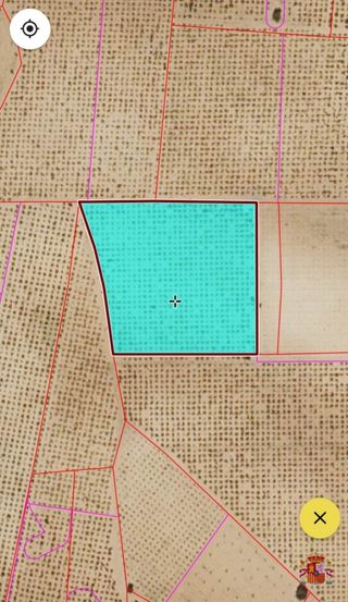 Fincas Rústicas - Lote