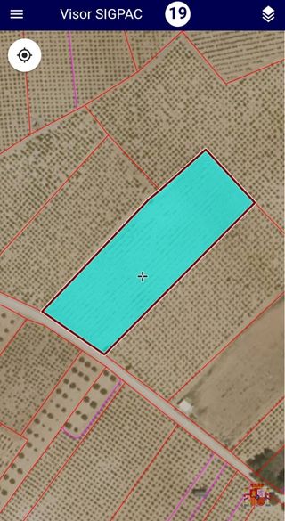 Fincas Rústicas - Lote