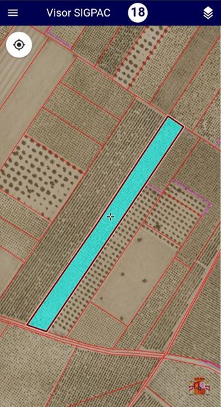 Fincas Rústicas - Lote