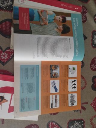 Lengua Y Literatura 2º Bachillerato + guia rápida