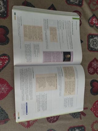 LCLB 1 (Lengua Castellana Bachillerato) Aula 3D