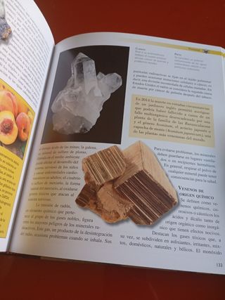 Alucinógenos, venenos y afrodisiacos