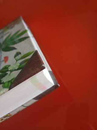 Alucinógenos, venenos y afrodisiacos