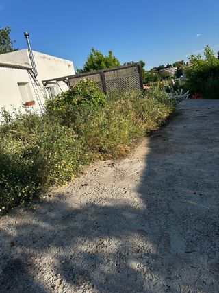 Limpieza parcelas - poda árboles