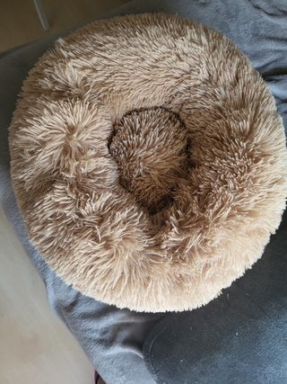 Cama redonda para gato 