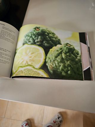 Cocina tradicional para robot cocina  chef plus