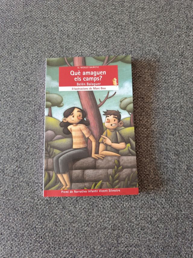 Què amaguen els camps?