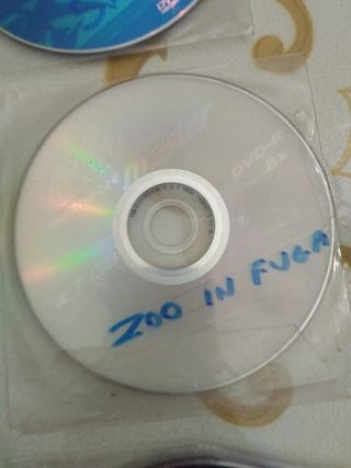 DVD cartoni animati x10