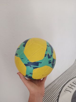 Palloni (calcio e basket)