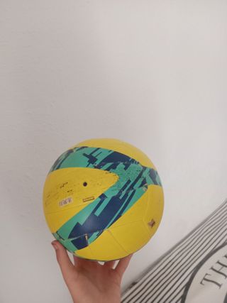 Palloni (calcio e basket)